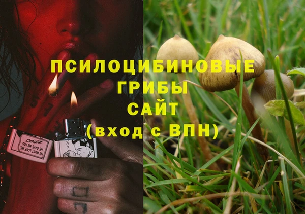 первитин Беломорск